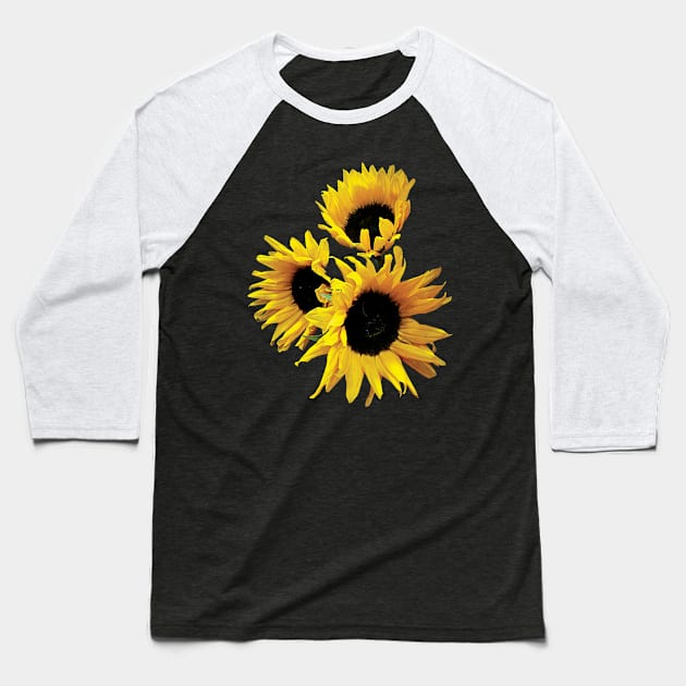 Three Yellow Sunflowers Baseball T-Shirt by SusanSavad